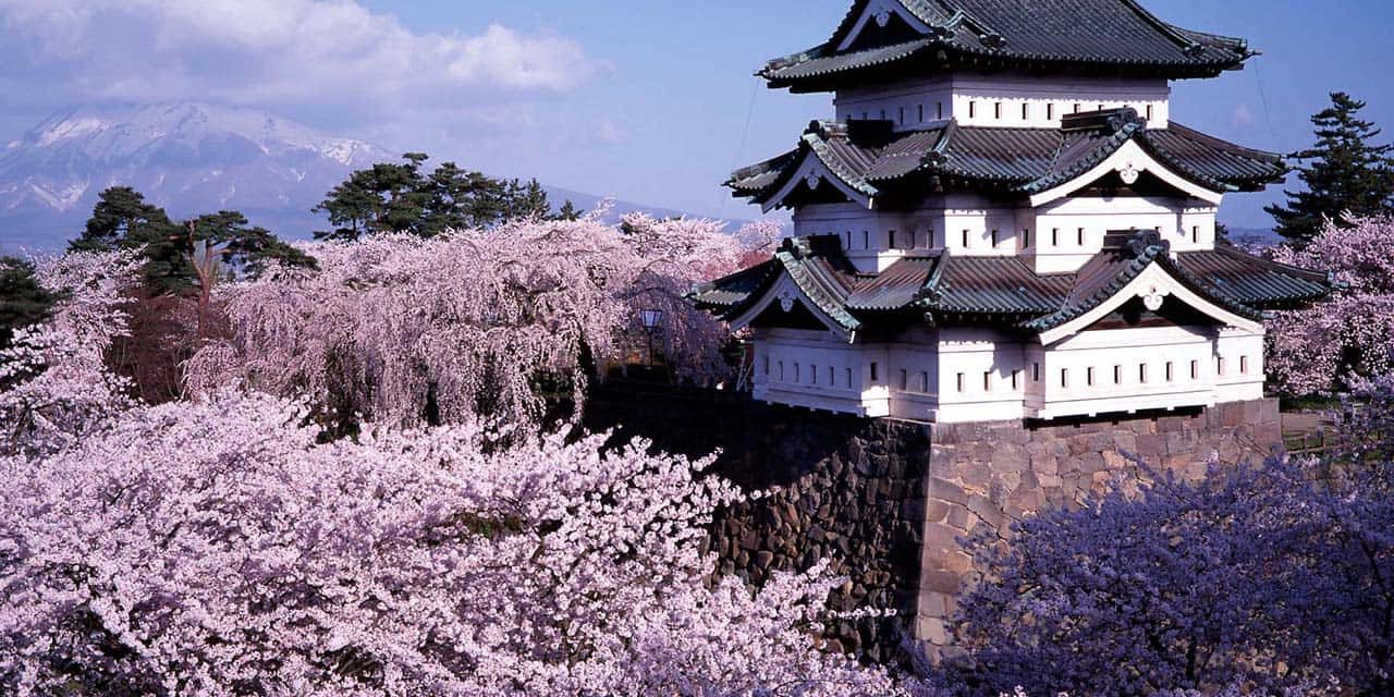 ChateaJapon secretos de los ninjas