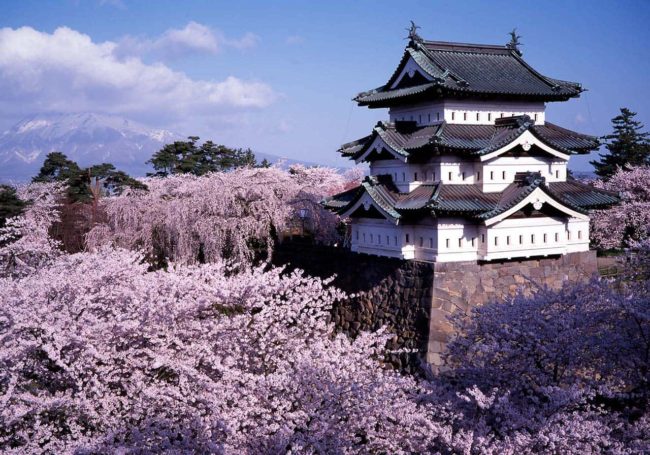 ChateaJapon secretos de los ninjas