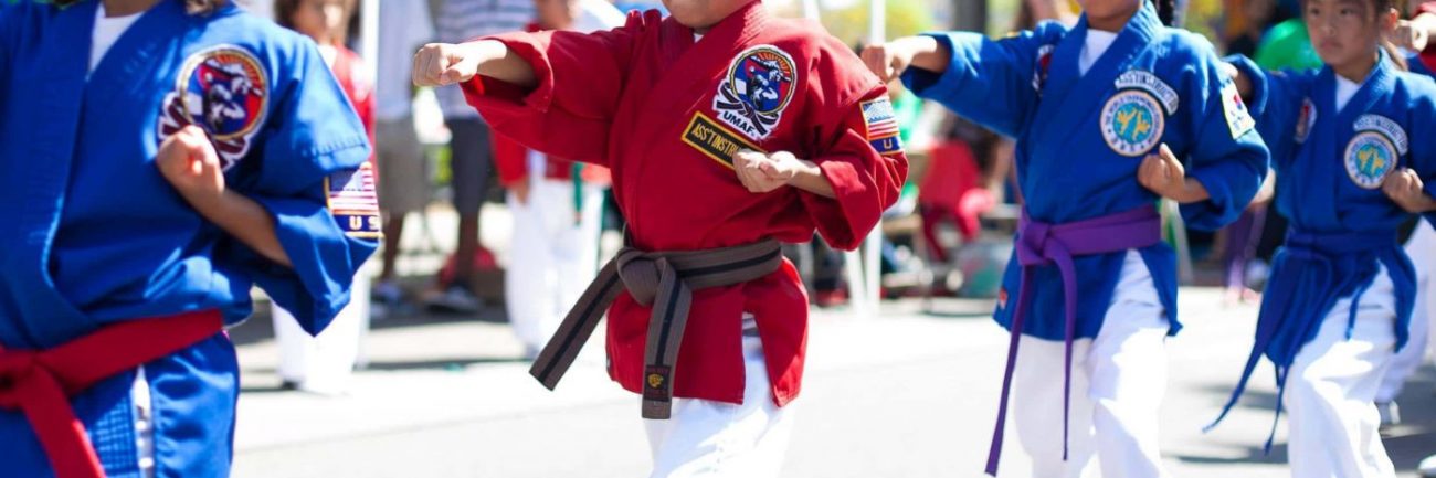 artes marciales en Brasil