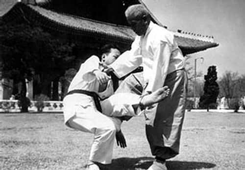 foto-7 artes marciales