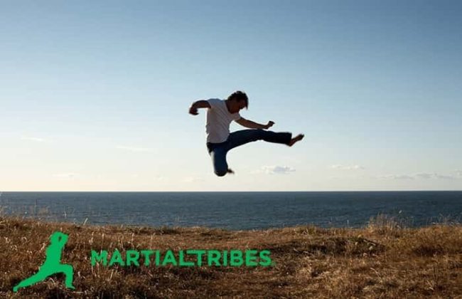 martialtribes_hapkido Hapkido