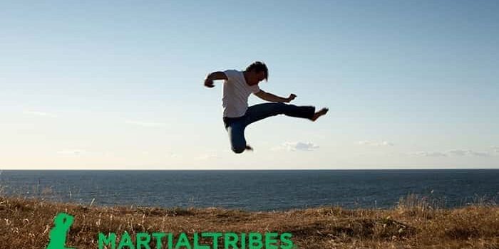 martialtribes_hapkido Hapkido