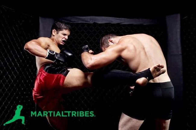 martialtribes_martialarts_myths artes marciales tradicionales