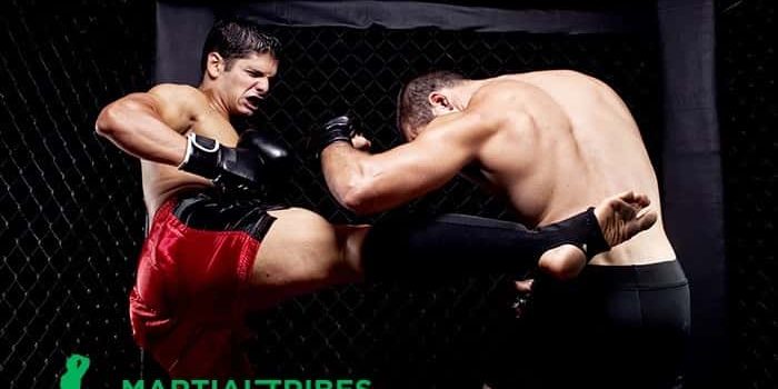 artes marciales tradicionales