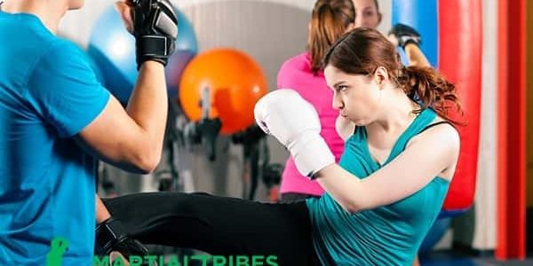 martialtribes_qualities artes marciales