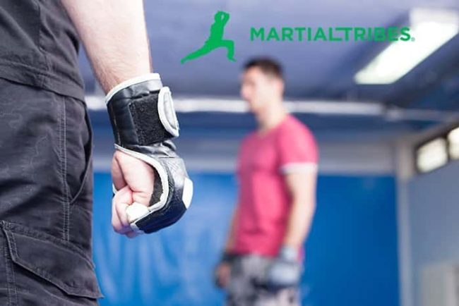 martialtribes_tips_of_week3 respeto