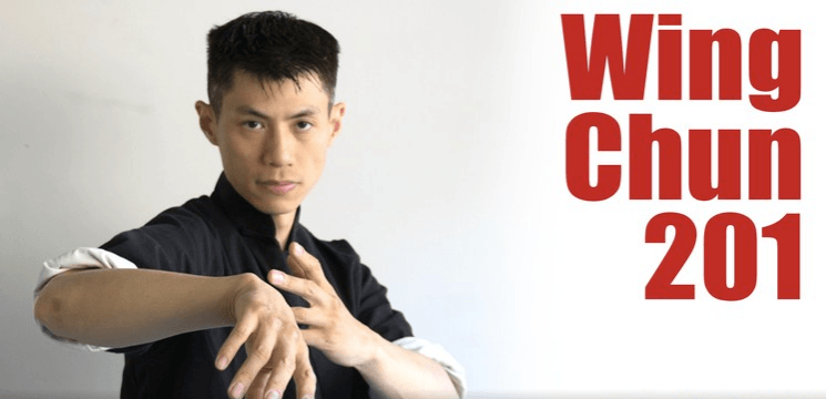 Wing Chun for Beginners 2 - Learn Martial Arts KungFu - Martial Tribes