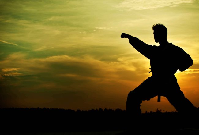entrenador-artes-marciales