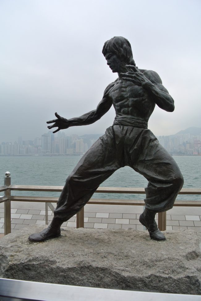 bruce-lee-1748882_1920