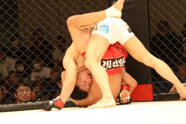 mixed-martial-arts-2034447