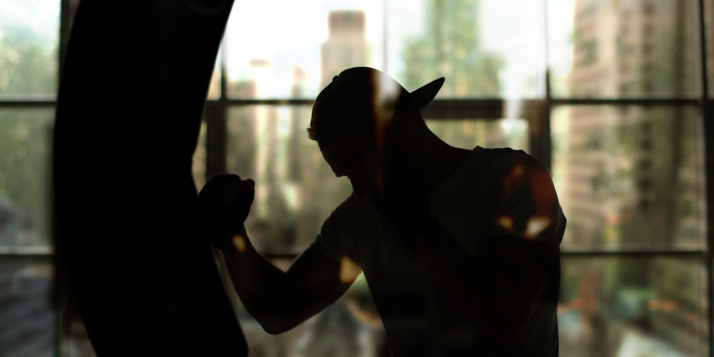 Boxer