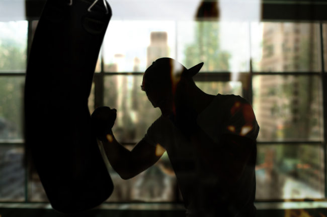 Boxer