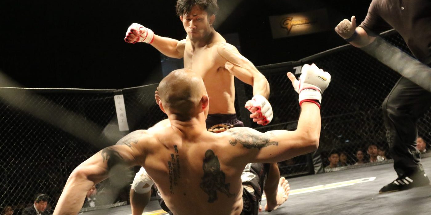 mixed-martial-arts-1455901