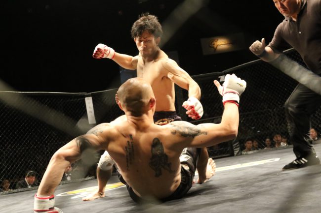 mixed-martial-arts-1455901
