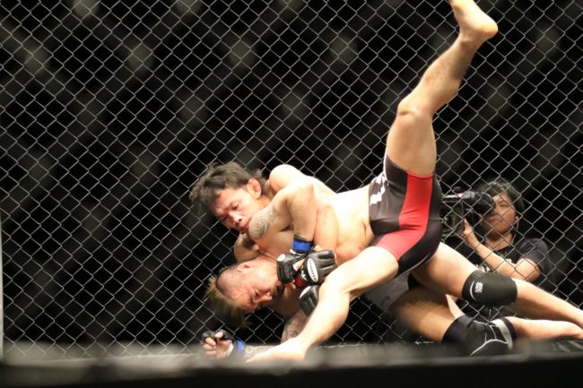 mma-1352580