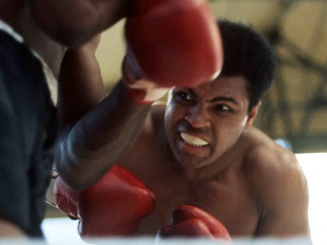 9fa657a5-e129-4bf0-8bbe-472d7022ecc1