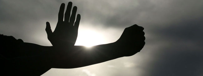 wing-chun-training-online