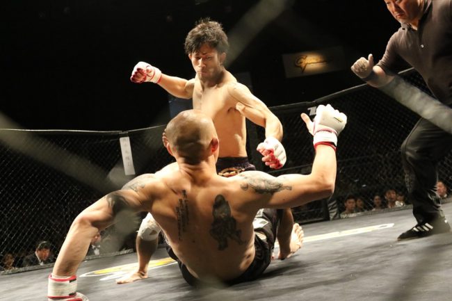 MMA cover