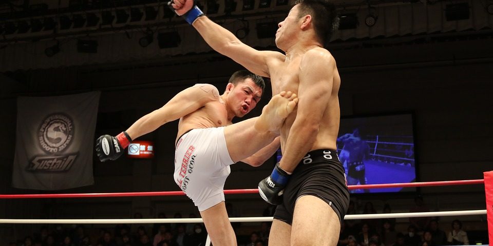Mma-mixed-martial-arts-japan-hit-1314503