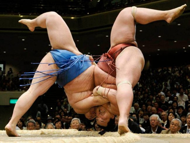 Sumo