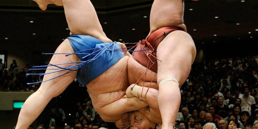 Sumo