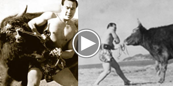 KARATE-MASTER-VS-BULL