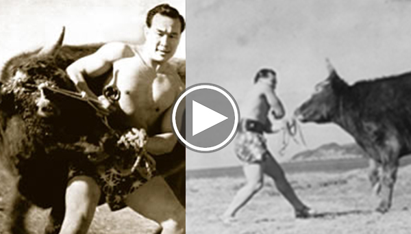 KARATE-MASTER-VS-BULL