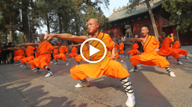 shaolin temple shaoline temple