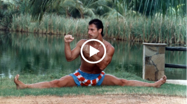 andy hug andy hug
