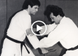 rolls gracie bjj