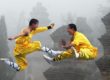 kung fu