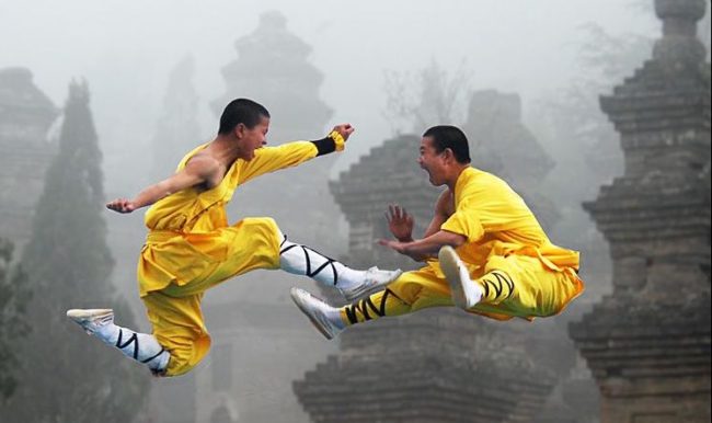 ee538129-b6a9-4622-88ef-dd394678d379 kung fu