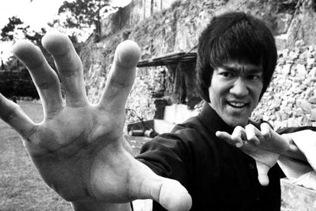 wing3 chinese martial arts