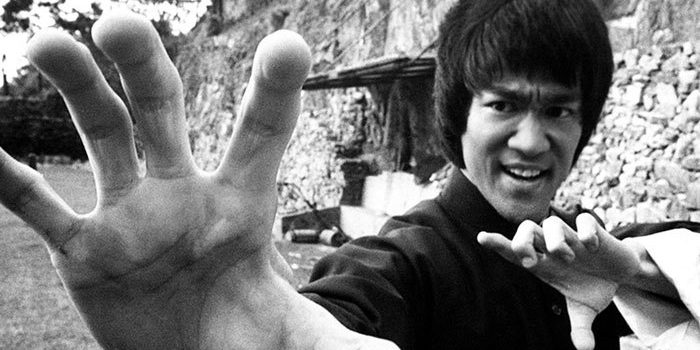 wing3 chinese martial arts