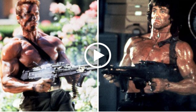stallone
