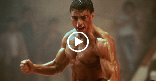 van damme van damme