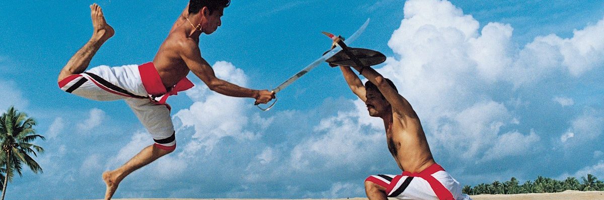 the right martial art