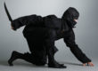 ninja weapons