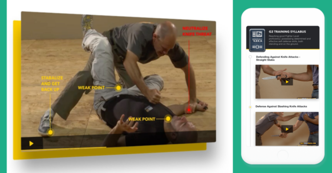 online martial arts course online martial arts course