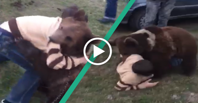 training child fighters with bears training child fighters with bears